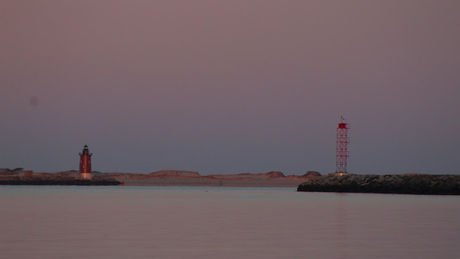 IMG_4552.jpg