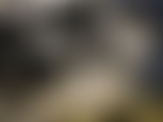 Gripe aviar en vacas lecheras se amplía en EU; granjas en Kansas y Nuevo México se infectan