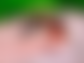 Mueren 119 personas por dengue en lo que va del año en Argentina; "estamos asustados"