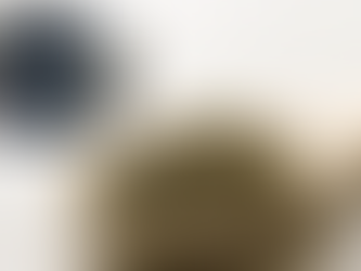 Esta especia que seguro tienes en casa cura el dolor de estómago, estreñimiento y previene la osteoporosis