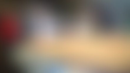 Preparan proyecto para reactivar ecoturismo en Boquillas del Carmen