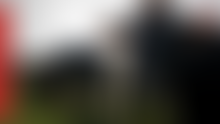 Dinamarca busca reducir emisiones de metano; cobrará impuestos por flatulencias de vacas y cerdos