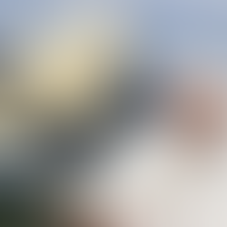 Ataques de Israel en Gaza y Líbano, inmorales: Papa Francisco