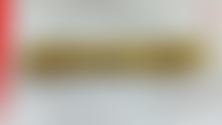 Niño encuentra un brazalete romano de oro al pasear a su perro