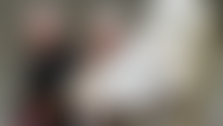 El Papa pide perdón y expresa vergüenza por todos los pecados de la Iglesia