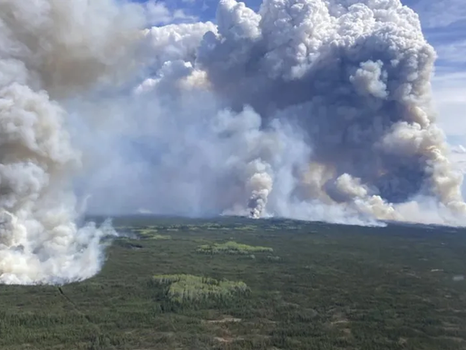 Incendio forestal en Canadá obliga a la gente a desalojar sus casas en Vancouver