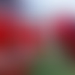 México y República Dominicana celebran 136 años de relaciones diplomáticas con béisbol