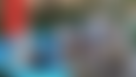 Birding: ¿qué es? ¿Dónde practicarlo en Tamaulipas?