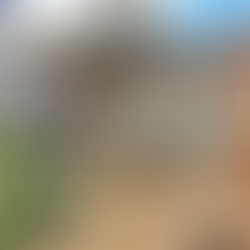 Casa Mezcal Oro de Oaxaca