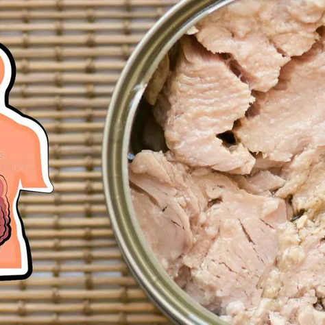 ¿Qué pasa si como atún de lata todos los días? Esto son los posibles efectos según expertos