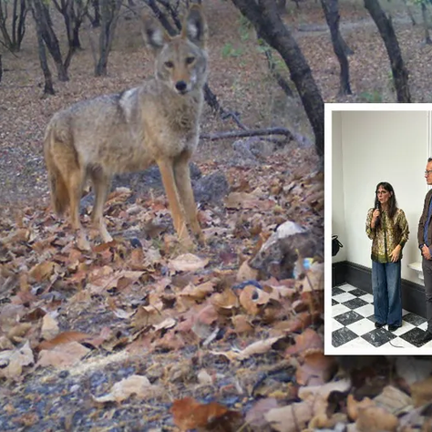 Invitan a conocer más del bosque La Primavera y las especies que lo habitan