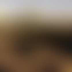 ¿Qué significa Tlatelolco, el histórico sitio que reunió a candidatos presidenciales en 2024?