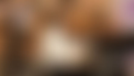 Fiesta Internacional de las Artes 447 en Saltillo