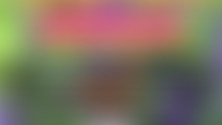 PREPARAN EN CIUDAD ACUÑA LA TRADICIONAL BIENVENIDA AMBIENTALISTA A LA MARIPOSA MONARCA