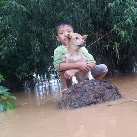 Emergency Support after the Storm