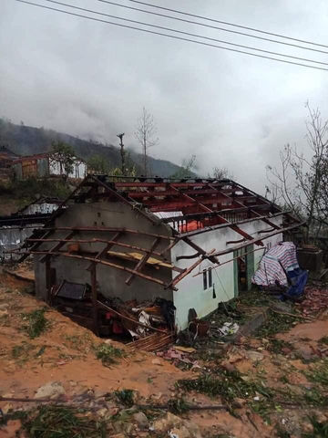 Emergency Support after the Storm