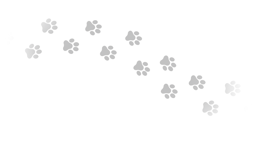 paws v2.png
