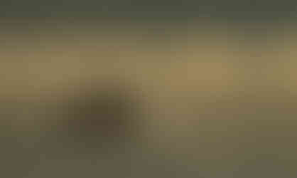 BRONZE: 'Mist or Fog' by Anne Luther-Gandy