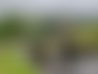 Dartmoor/Langaford Farm