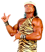 jimmy-snuka.png
