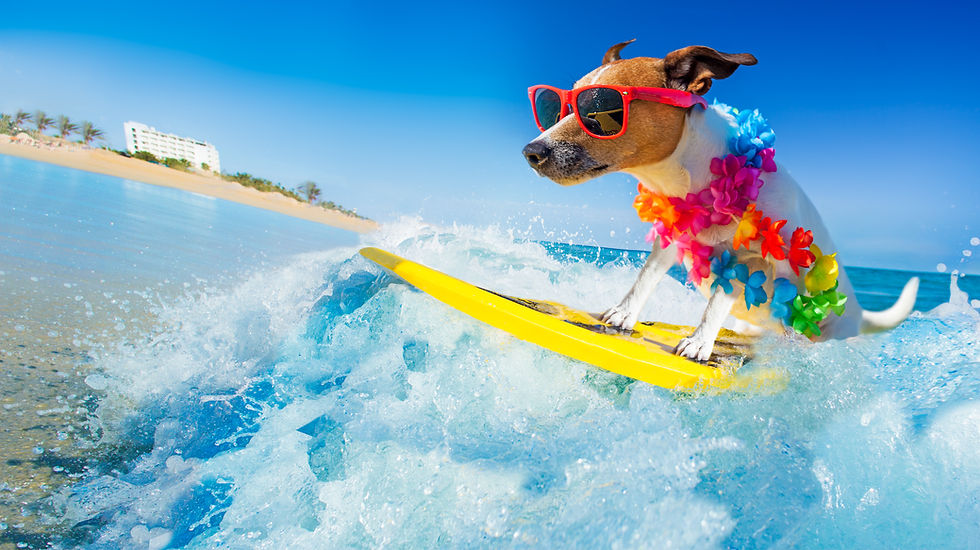 DBT Skills: Urge Surfing