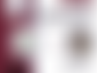 Maine State Treasurer Presentation