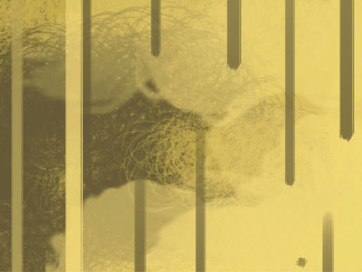 The illusion of reform