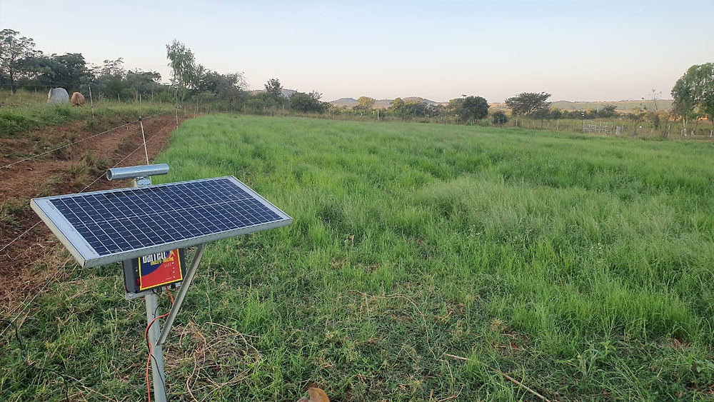 Solar panel on a pole in a grassy field