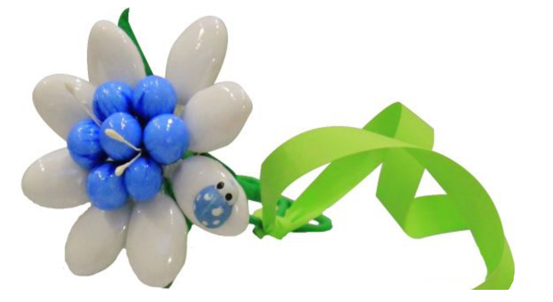 Confetto Coccinella Blu