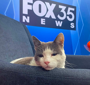 Fox35__026.jpg