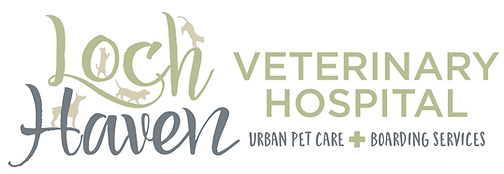 Logo-LHV.png