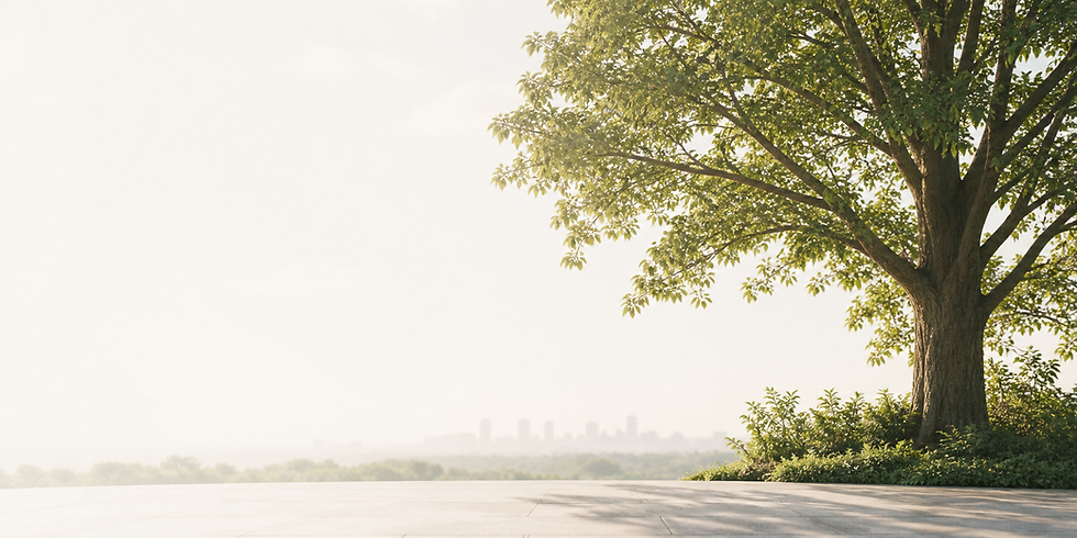 Long-term real estate investment growth concept in Japan