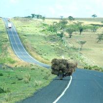Mono no aware - jede Murmel zählt
