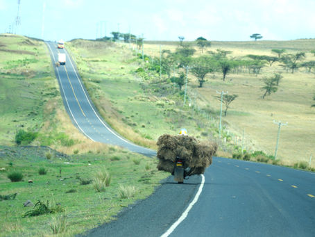 Mono no aware - jede Murmel zählt