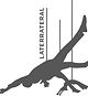 laterrateral_logo_gris.jpg