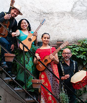 Concert “La Flota y El Son”_edited.jpg