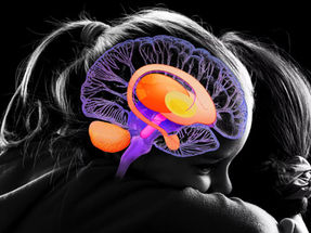 SynaptixBio - Mother & Child