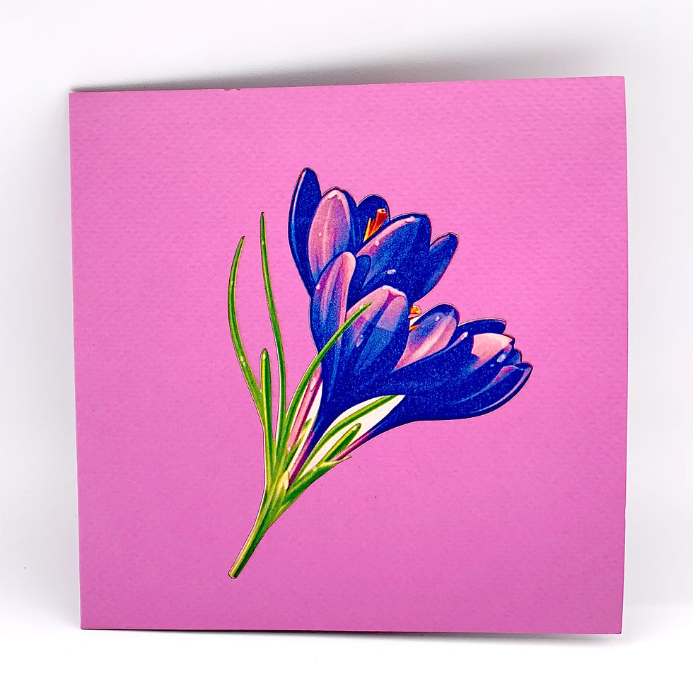 Thumbnail: Potted Tulips