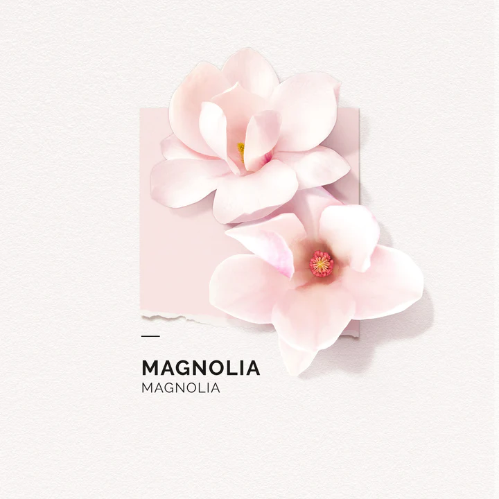 solinotes-magnolia-eau-de-parfum-4-scaled_720x.webp
