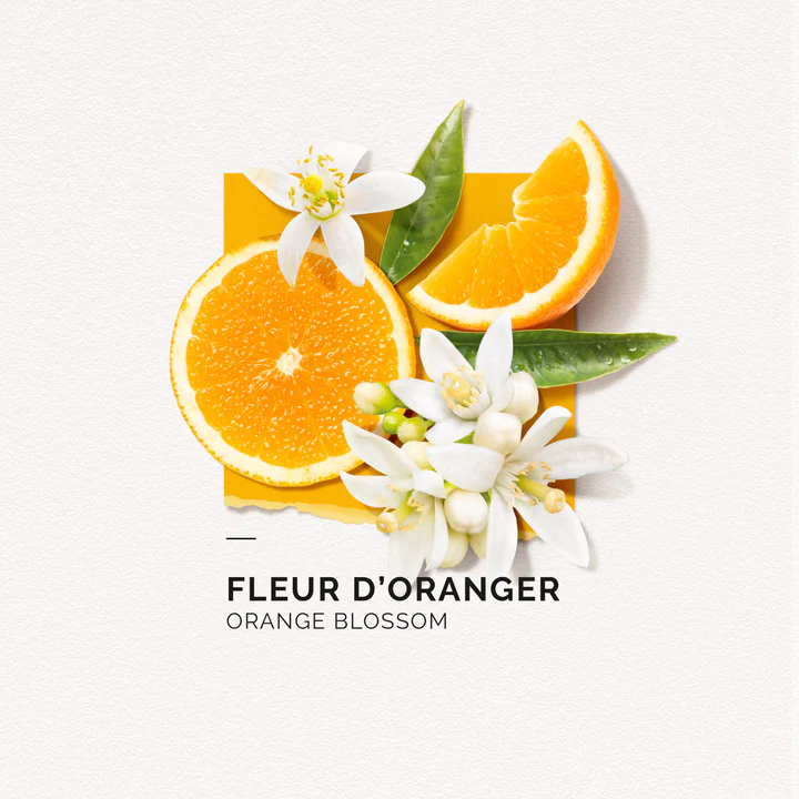 solinotes-oranger-eau-de-parfum-4-scaled_720x.webp