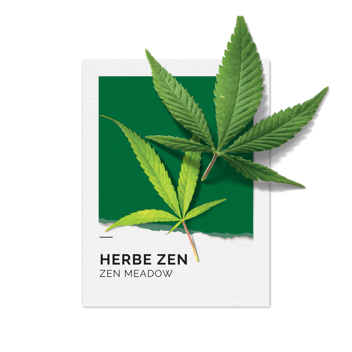 FD-pantonnette-Herbezen_2126479a-3cb6-4bea-b138-883a71f250a7_720x.webp