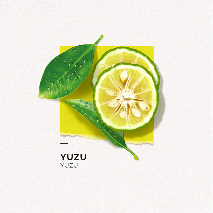 solinotes-yuzu-eau-de-parfum-4-scaled_720x.webp