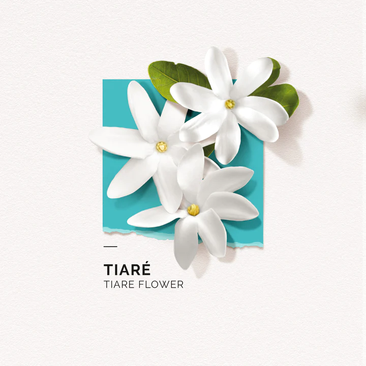 solinotes-tiare-eau-de-parfum-4-scaled_720x.webp
