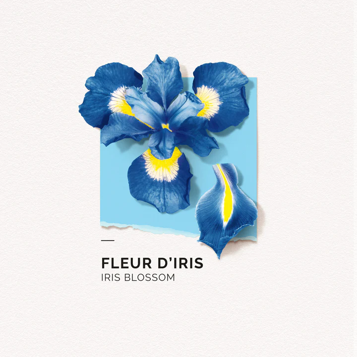 solinotes-iris-eau-de-parfum-4-scaled_720x.webp