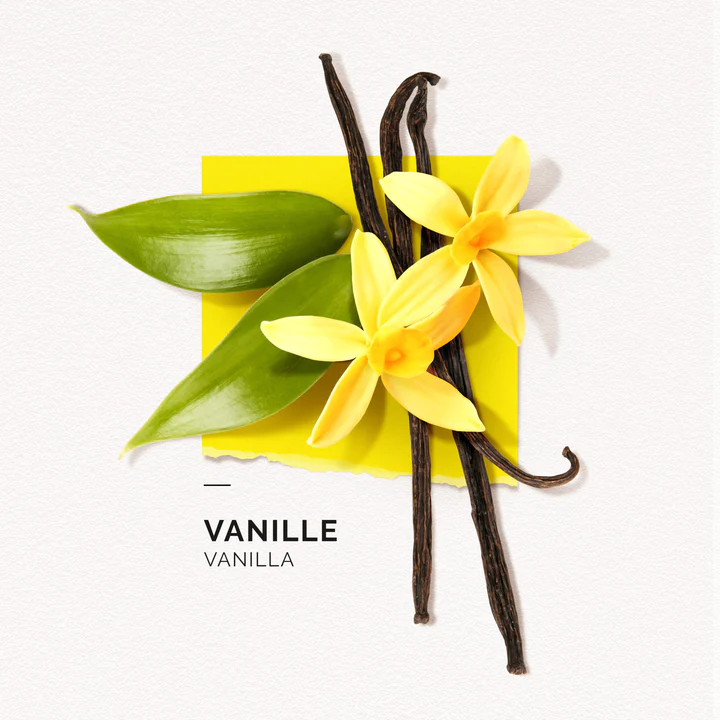 solinotes-vanille-eau-de-parfum-4-scaled_720x.webp