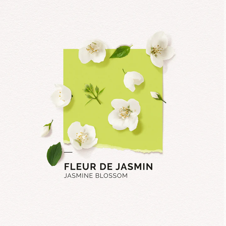 solinotes-jasmin-eau-de-parfum-4-scaled_720x.webp