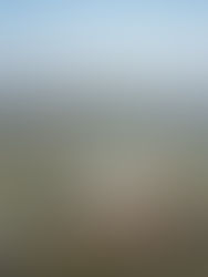 Paraná amplia acesso à energia estável e internet no campo com nova estratégia rural