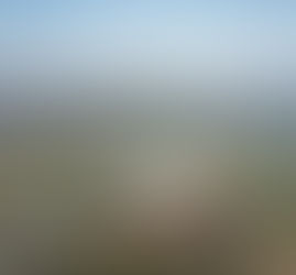 Emerging Trends in the Top New-Home Markets: Insights and Predictions