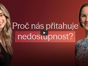 Podcast Šetinová Čechová nedostupnost