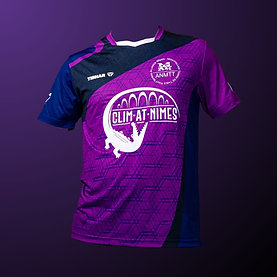 Maillot Domicile ANMTT Tibhar 24/25